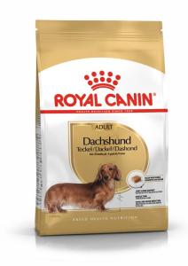 RC Dachshund Adult
