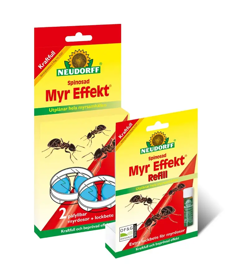 Myr Effekt Dosor 2-pack