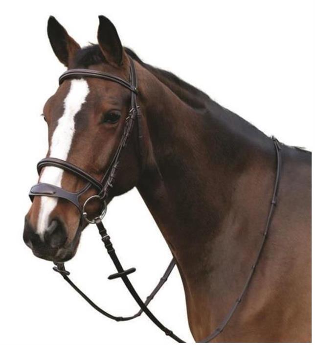 Träns Ergo HG Choco Full