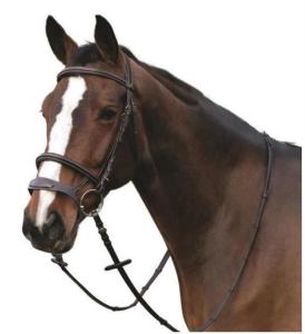 Träns Ergo HG Choco Full