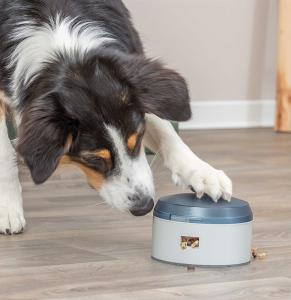 Dog Activity Buzzer Nivå 1