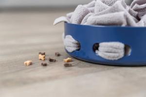 Hide'Nn'Sniff Skål Nivå 1