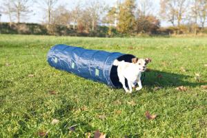 Agilitytunnel 40*200cm