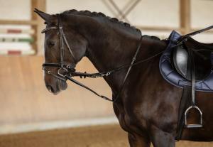 Thiedemantygel Svart