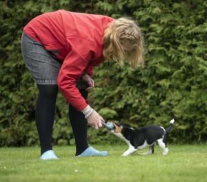 Repapport Junior 15cm