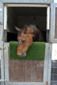 Matta Kli/Rengöring Grön 55x90cm