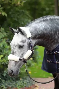 Set Med Ludd För Grimma Faux Fur