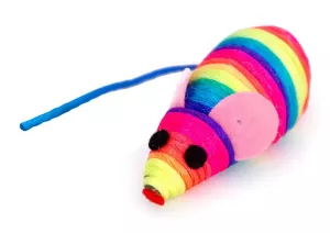 Kattleksak Regnbågsmus