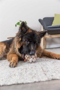 Leopardboll, plysch/gummi 13cm