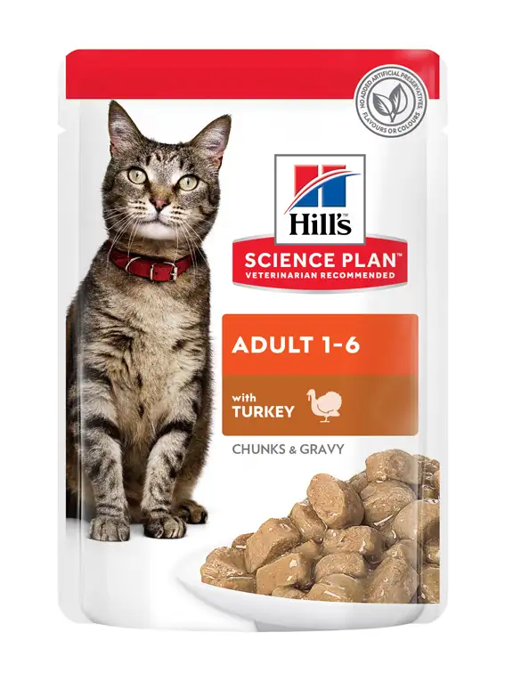 Hills Katt Adult Chicken & Turkey 12x85g