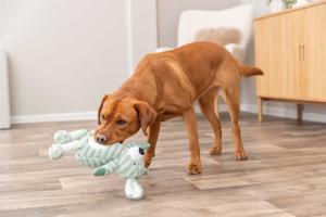 Hundleksak Hund Randig 34cm Grön