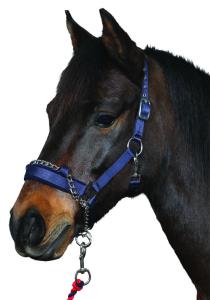 Grimma Nylon M. Kedja Svart