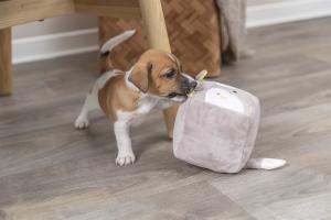 Junior Räv (Kub) Plysch 13cm