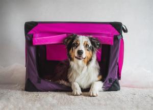 Canvasbur Milou Bubbelgum