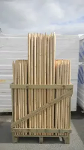 Stolpe Oimpregnerad Natur