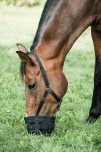 Gräsreducerare HG Svart