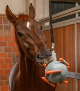 Hästleksak Morotsboll Mistel