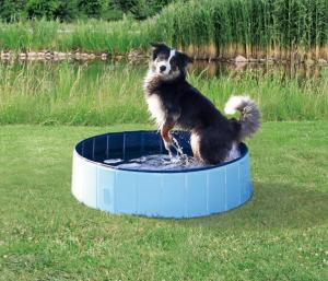 Hundpool Ljusblå/Blå 80x20cm