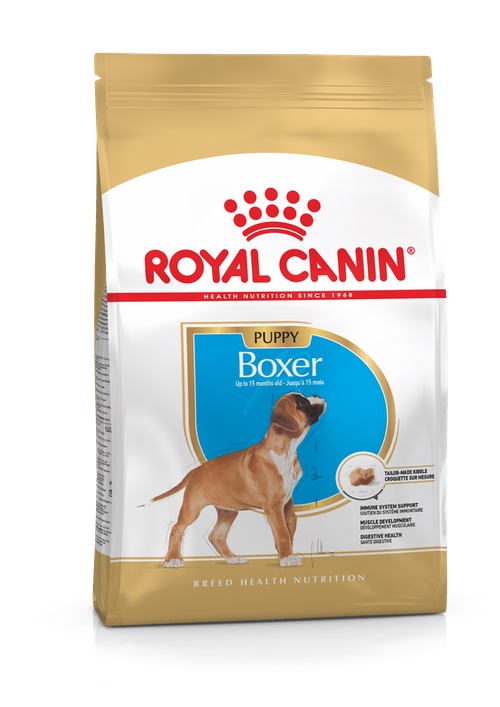 RC Boxer Puppy 12 kg
