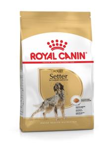 RC Setter Adult 12 kg