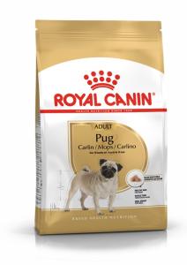 RC Pug Adult
