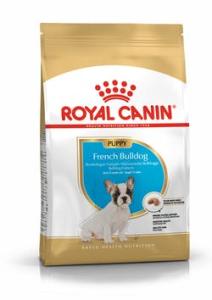 RC French Bulldog Puppy 3 kg