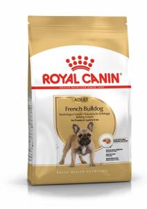 RC French Bulldog Adult