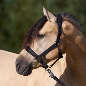 Grimma IRHSparkle Svart