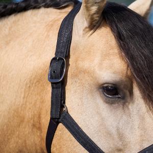 Grimma IRHSparkle Svart