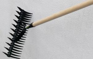 Mossrivarkratta Dubbeltandad