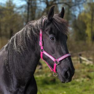 Grimma "Romana" Rosa