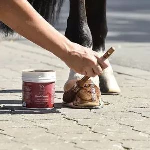 Blue Hors Hoof Cream 0,5kg