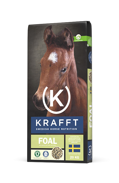 Krafft Foal, 20kg