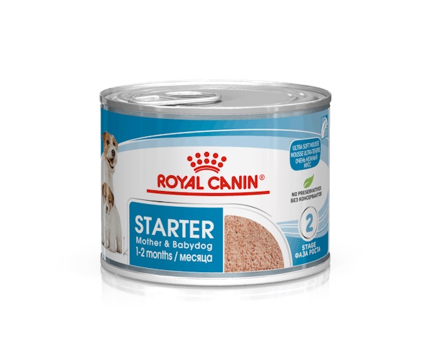 RC SHN Starter Mousse