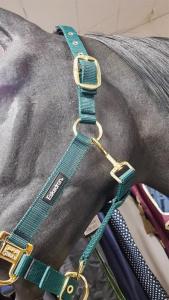 Grimma Eskadron/Landäng Grön/Guld