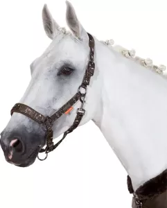 Grimma Eskadron Platinum Glossy Havanabrown Cob