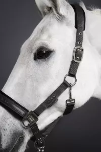 Grimma Classic Sports Grå Ponny