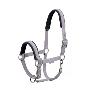 Grimma Classic Sports Lila