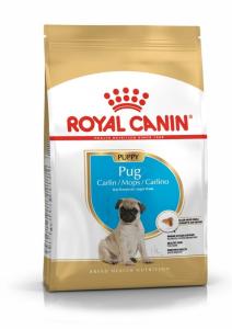 RC Pug Puppy 1,5 kg