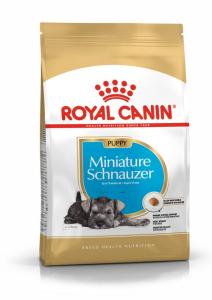 RC Miniature Schnauzer Puppy 1,5 kg