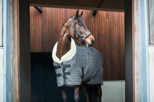 Grimma Alea Catago Reflex/Logo Navy