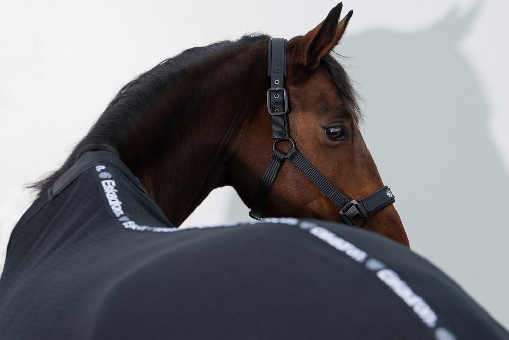 Grimma Eskadron Dynamic Svart Cob