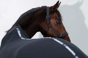 Grimma Eskadron Dynamic Svart Cob