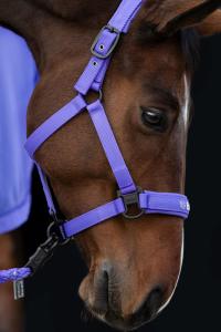 Grimma Eskadron Dynamic Lila Cob