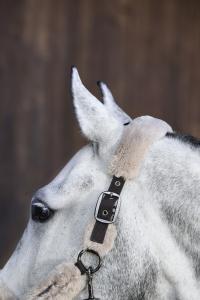 Grimma Eskadron Platinum Teak Brown