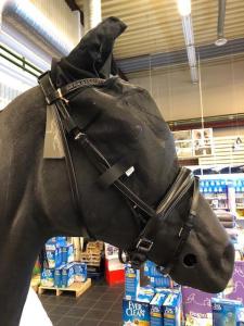 Flughuva Till Träns Svart