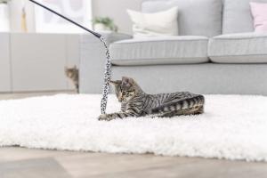 Kattleksak Vippa Leo 51cm