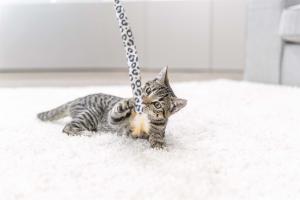 Kattleksak Vippa Leo 51cm