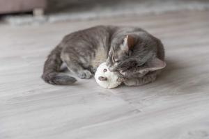 Kattleksak Björn, plysh, 8cm, blandade