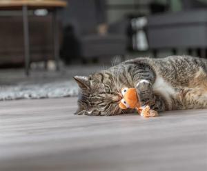 Drakmask, plysh, Catnip 20cm, blandade